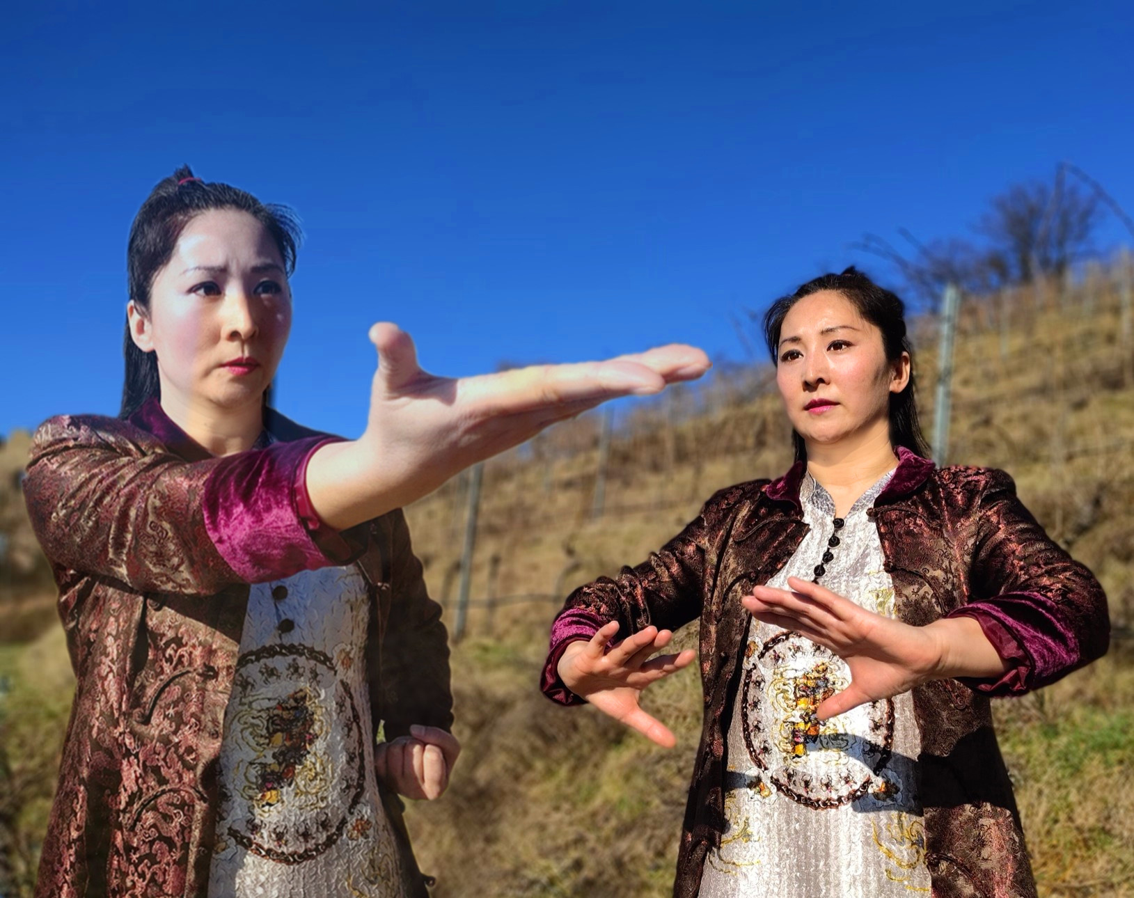 Qi Gong Online Training Die heilenden Laute Liu Zi Jue beginnt am